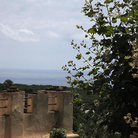 Hotel Castell De L'Oliver Ματαρό Εξωτερικό φωτογραφία