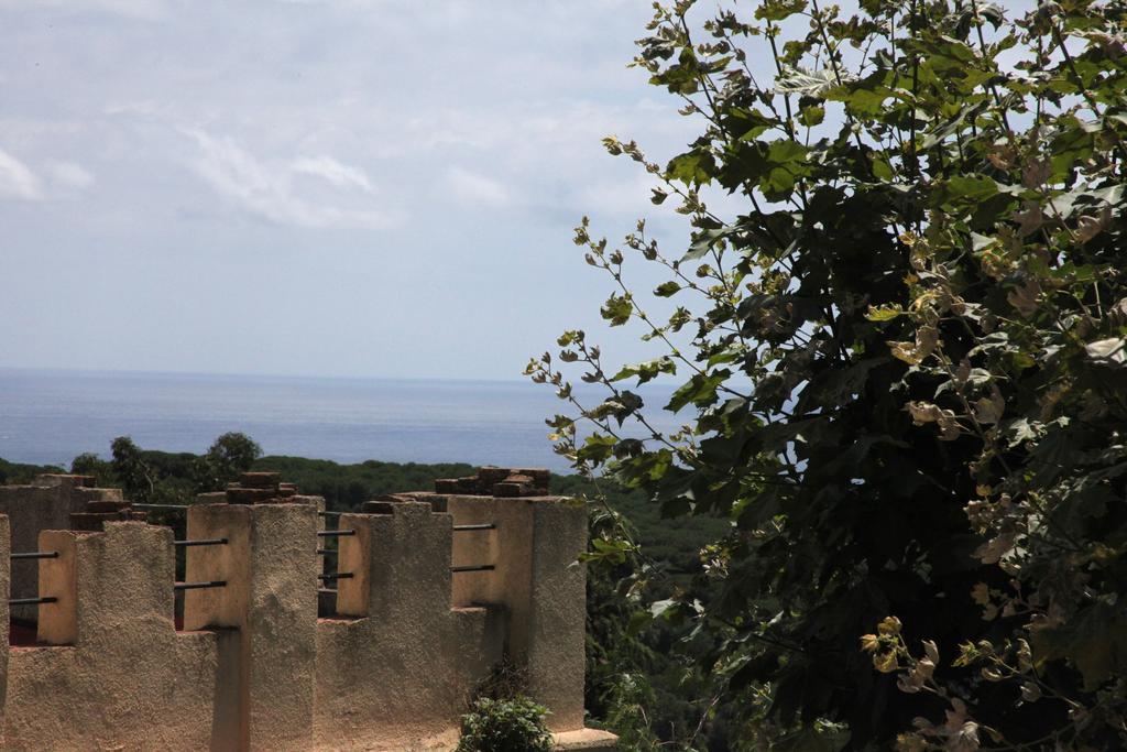 Hotel Castell De L'Oliver Ματαρό Εξωτερικό φωτογραφία