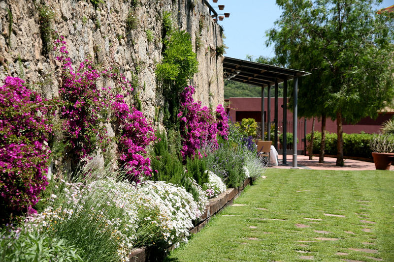 Hotel Castell De L'Oliver Ματαρό Εξωτερικό φωτογραφία